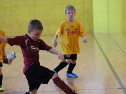 mini-IMG_6950